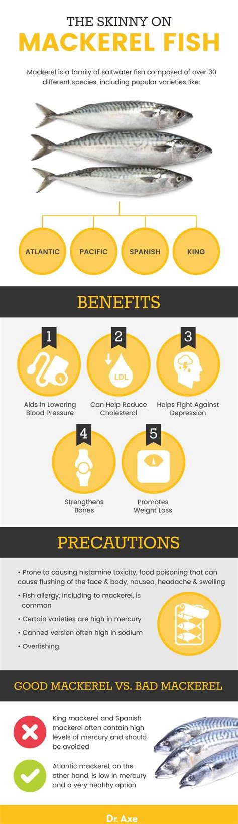 mackerel fish benefits|Mackerel Fish Benefits and Nutrition Facts .